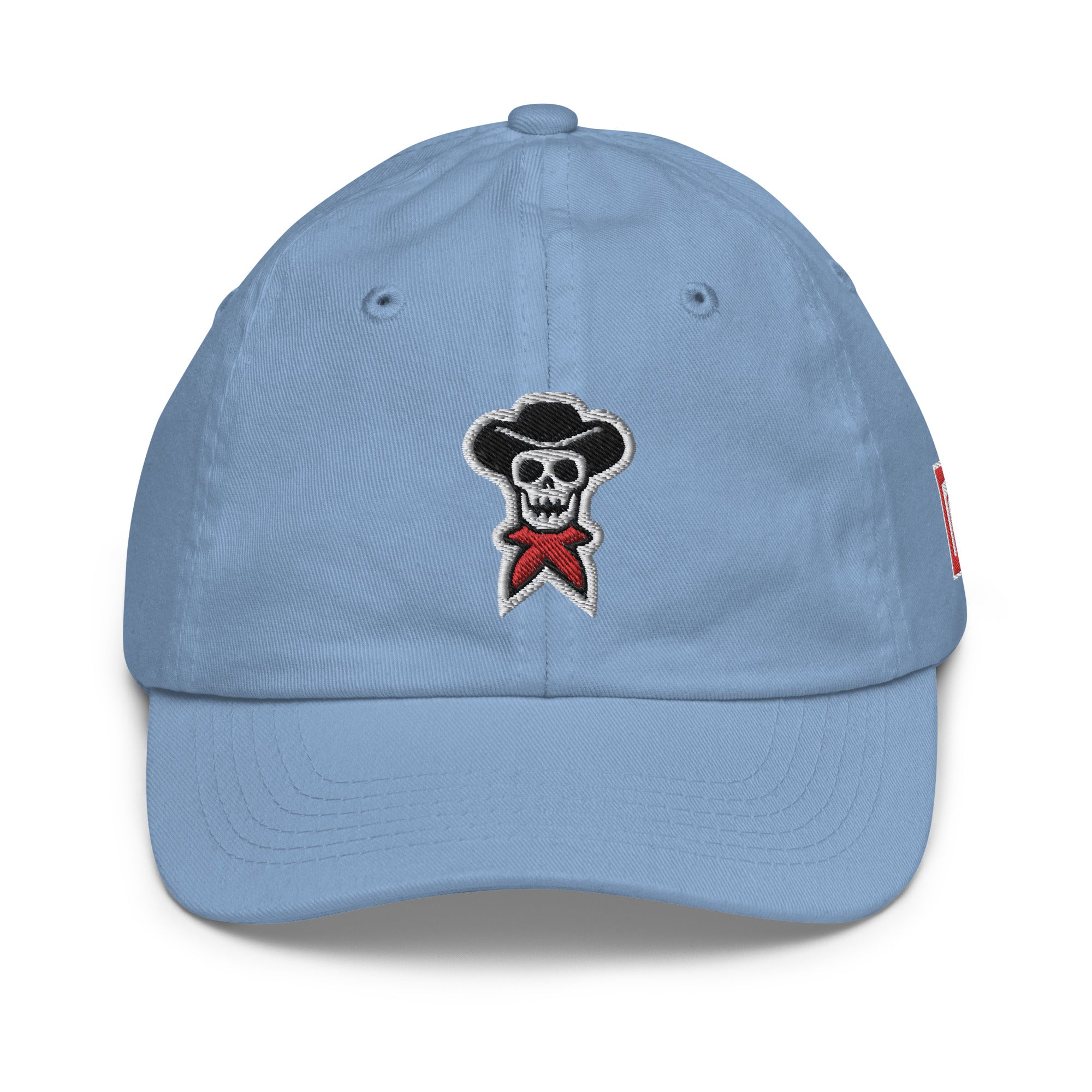 Premium Youth Classic Embroidered Baseball Hat - rockstarcowboy