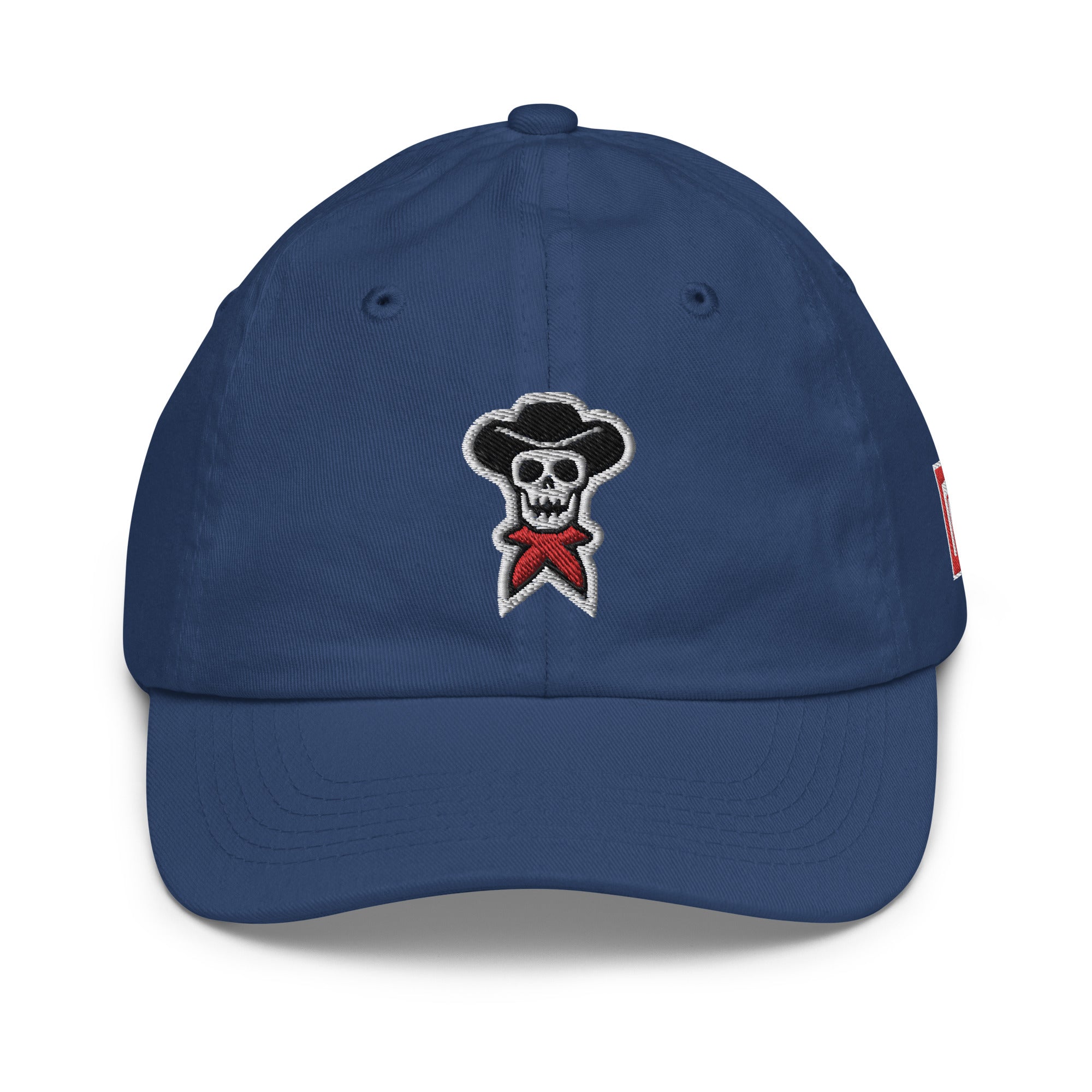 Premium Youth Classic Embroidered Baseball Hat - rockstarcowboy