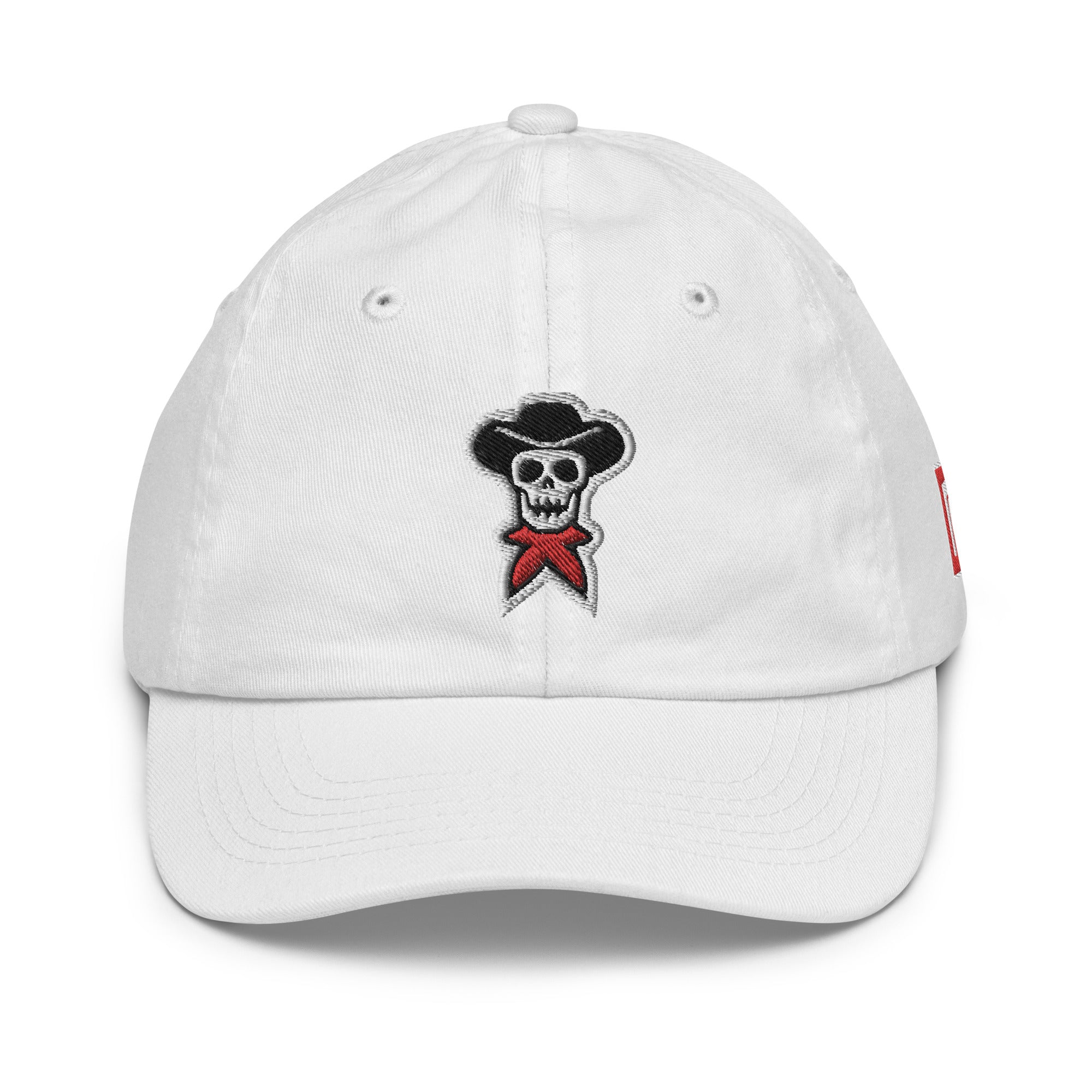 Premium Youth Classic Embroidered Baseball Hat - rockstarcowboy